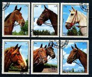 Лошади, почтовые марки, Шарджа 1972 г
